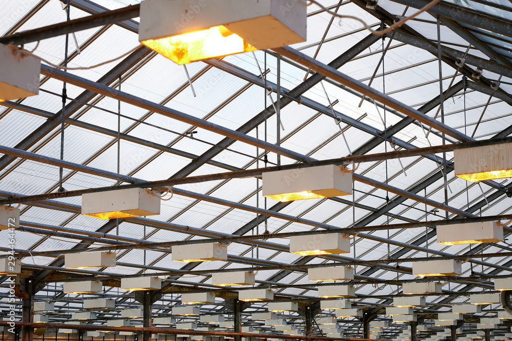 Fototapeta premium Greenhouse roof