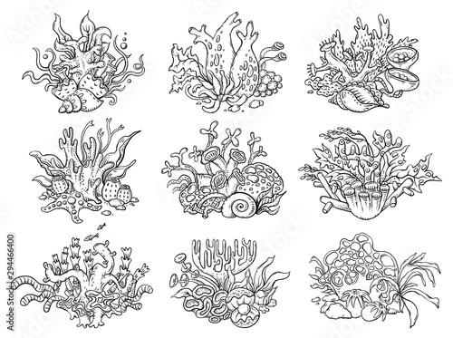A set of black and white corals, sea and ocean life