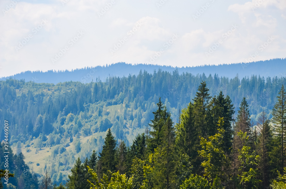 Carpathian Mountains landscape in the autumn season in the sunny day Carpathian Mountains landscape in the autumn season in the sunny day