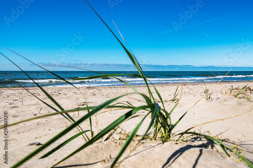 Coast of Baltic sea.