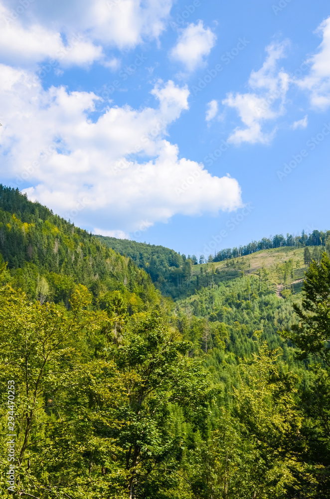 Carpathian Mountains landscape in the autumn season in the sunny day Carpathian Mountains landscape in the autumn season in the sunny day