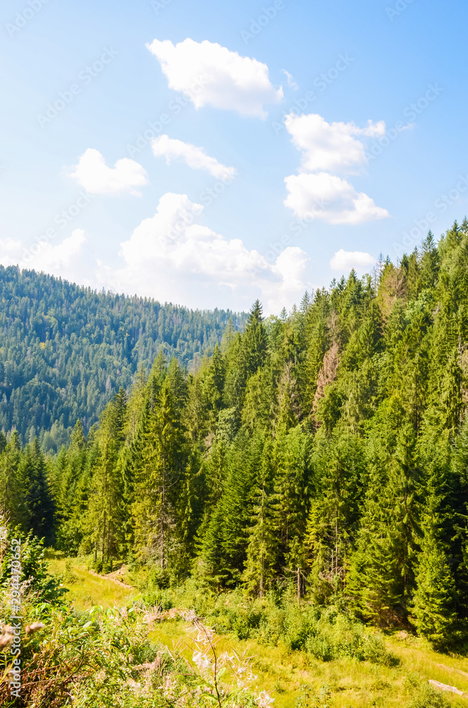 Carpathian Mountains landscape in the autumn season in the sunny day