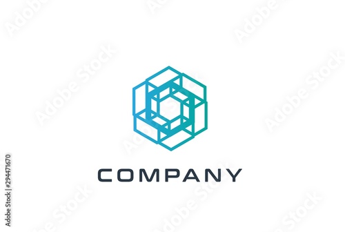 Abstract geometric hexagon technology logo design vector template with network connection line