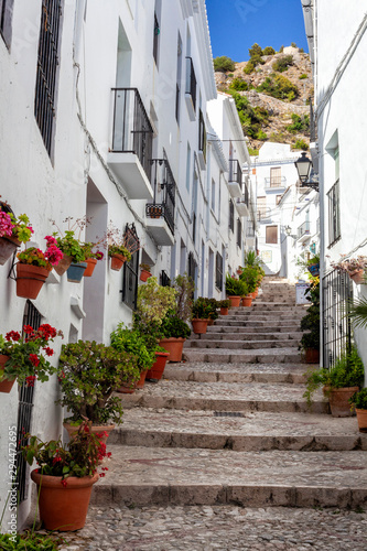Small alley in a old town in Andalusia  Spain. Pavers and plants decorate the alley. Vertical photo