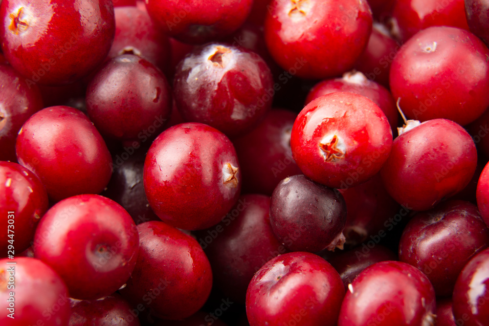 Cranberry /Heap of tasty berries. Close up/ Healfy concept Cranberry /Heap of tasty berries. Close up/ Healfy concept