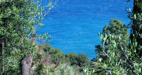 Beautiful Summer Seascape, View Of The Mediterranean Sea Behind The Trees Branches And Cacti - DCi 4K Video photo