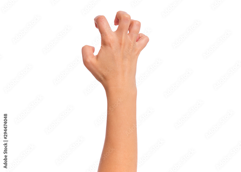 Female hand, isolated on white background. Beautiful hand of woman with copy space. Female hand, isolated on white background. Beautiful hand of woman with copy space.