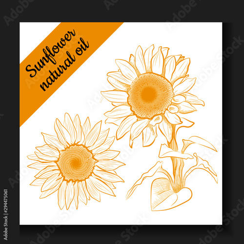 Sunflower oil emblem, label. Sunflower vector illustration