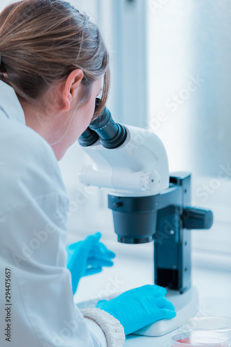 Young scientist looking through a microscope in a laboratory. Young scientist doing some research.