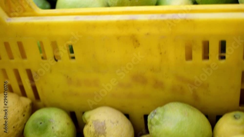 Close up view of lemons or lemon in boxes freshly cuaght. Two boxes of yellow  and green lemon. Sanish Agricultural field, Lemon plantantion in Spain, 2019. photo