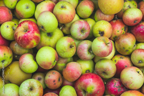 Freshly picked apples . Full frame photography.