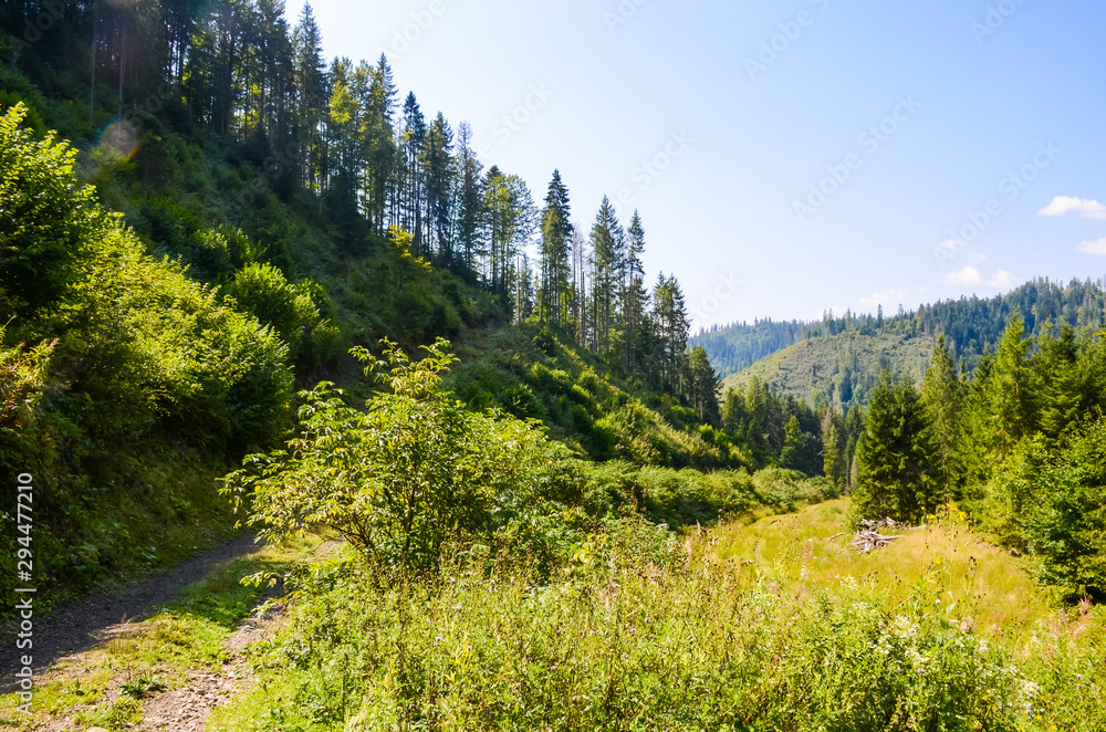 Carpathian Mountains landscape in the autumn season in the sunny day Carpathian Mountains landscape in the autumn season in the sunny day