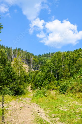 Carpathian Mountains landscape in the autumn season in the sunny day