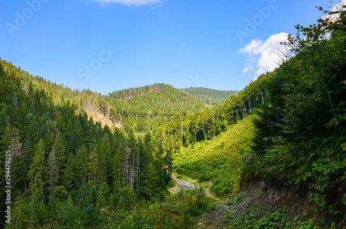 Carpathian Mountains landscape in the autumn season in the sunny day © zyoma_1986