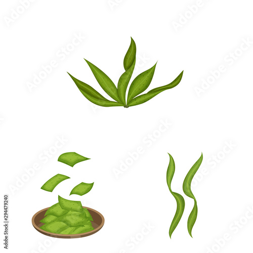 Vector design of spirulina and seaweed icon. Set of spirulina and vegan stock vector illustration. photo