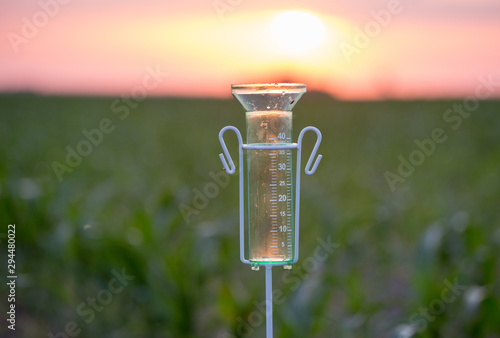 Rain gauge in corn field photo