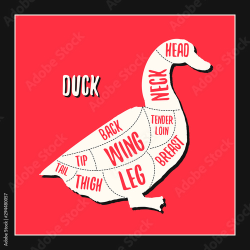 Duck meat cutting charts vector illustration for butchers shop guide. Label for farm design