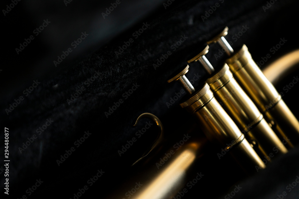 Naklejka premium A gold looking matte finish on a flugelhorn in a black case