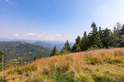 Carpathian Mountains landscape in the autumn season in the sunny day © zyoma_1986