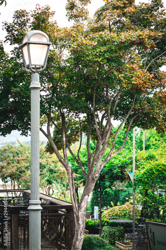 Outdoor Lamp Pole and Crepe Myrtle Bush photo