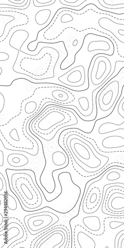 Topographic map. Topographical background. Linear graphics. Vector illustration.