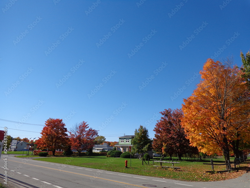 Obraz premium Autumn leaves