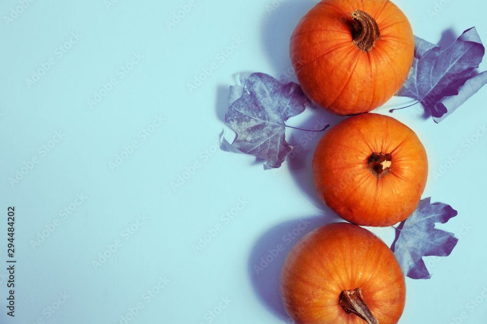 pumpkin arrangement. flat lay autumn wallpaper pumpkin arrangement. flat lay autumn wallpaper
