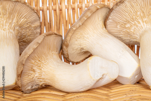 Group of four whole fresh creamy king trumpet mushroom with braided rattan behind