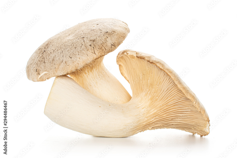 Fototapeta premium Group of two whole raw fresh creamy king trumpet mushroom isolated on white background