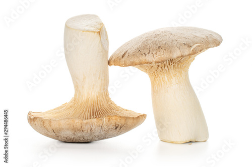 Group of two whole raw fresh creamy king trumpet mushroom isolated on white background