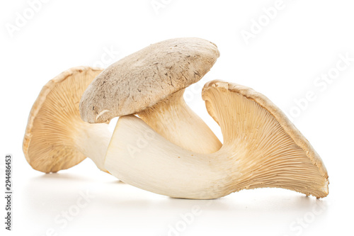 Group of three whole fresh creamy king trumpet mushroom isolated on white background