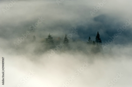 Jesień las na halnym zboczu z mgłą