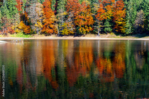 Perfect autumn tree reflections in lake