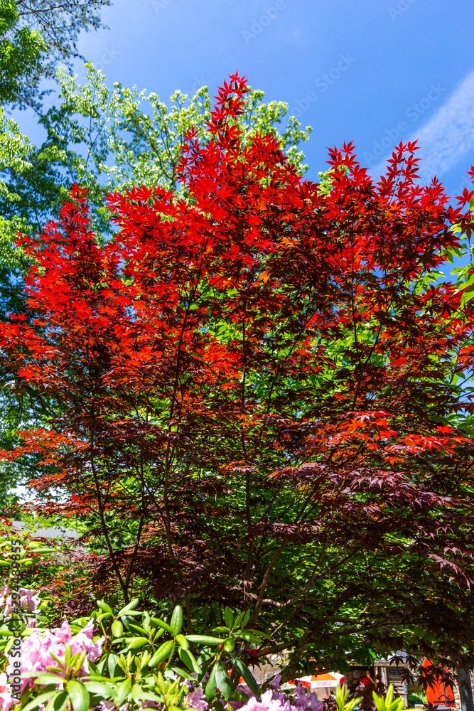 USA.May 2019. See rock city gardens national park. USA.May 2019. See rock city gardens national park.