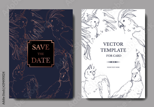 Vector Sky bird cockatoo in a wildlife. Black and white engraved ink art. Wedding background card decorative border.