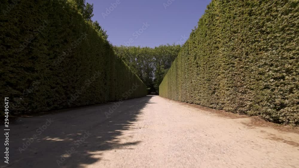 Low angle handheld tracking dolly shot in Versailles gardens between green bushes alley in France at sunny day in spring Low angle handheld tracking dolly shot in Versailles gardens between green bushes alley in France at sunny day in spring