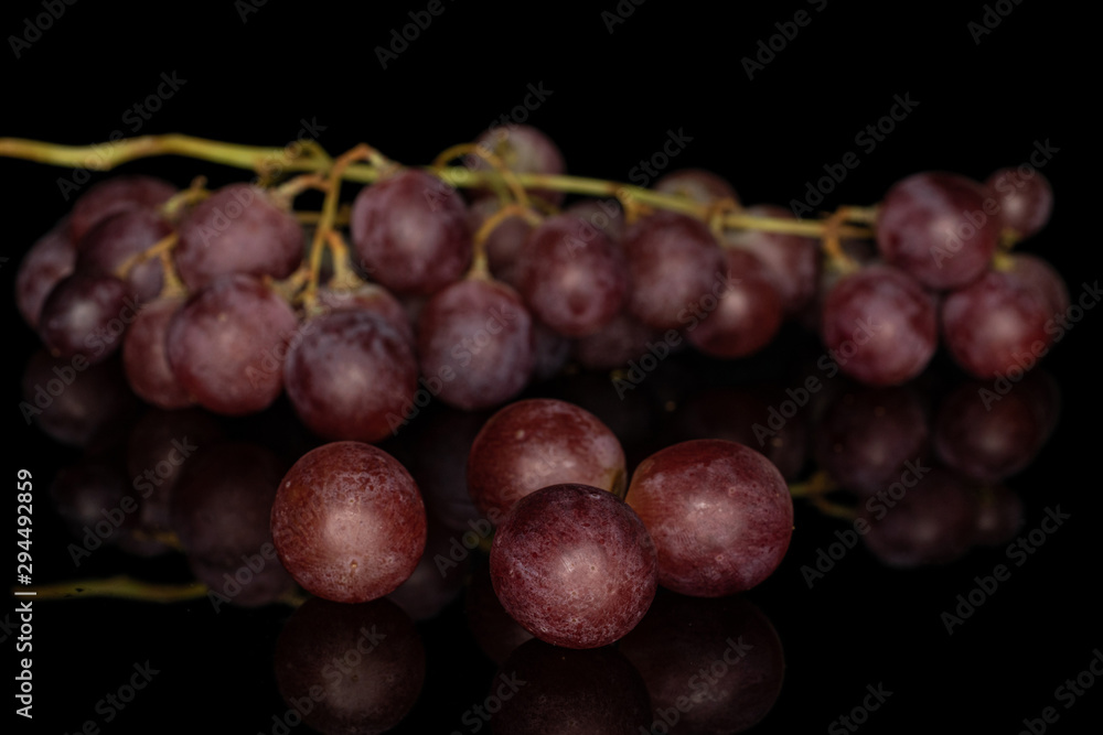 Lot of whole fresh purple grape rose isolated on black glass Lot of whole fresh purple grape rose isolated on black glass