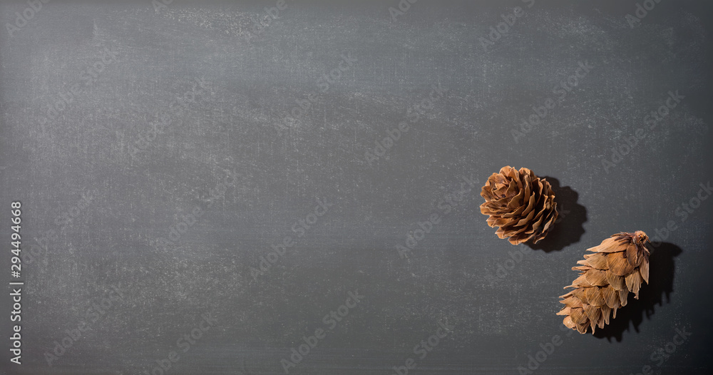 Autumn pine cones from above - overhead view flat lay Autumn pine cones from above - overhead view flat lay