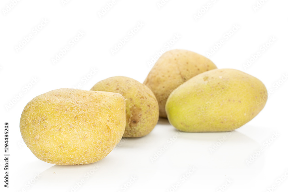 Group of four whole raw brown potato isolated on white background Group of four whole raw brown potato isolated on white background