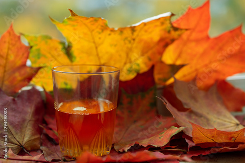 Принти на полотні linseed oil and autumn maple leaves