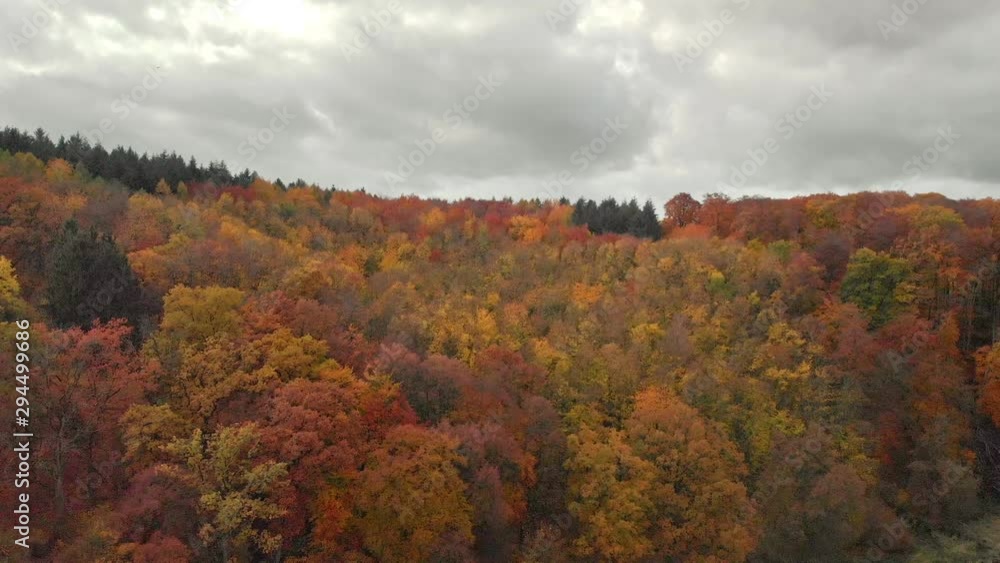 Breathtaking aerial drone shot through the autumn forest in Germany Breathtaking aerial drone shot through the autumn forest in Germany