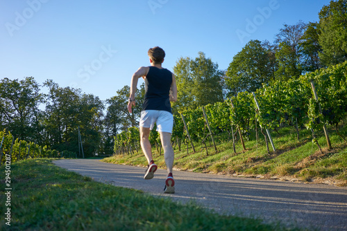 jogger Runner jogging young attractive shorts vineyards sportsman sunset greenery nature sprint back