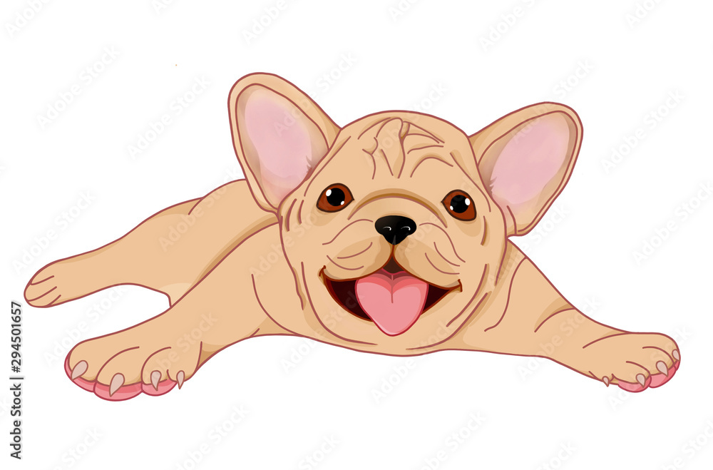 Baby French bulldog lies. Illustration of a bulldog puppy. The dog is playing.