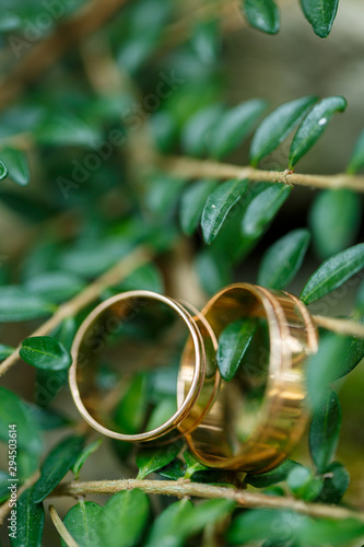 Gold wedding rings for newlyweds on wedding day