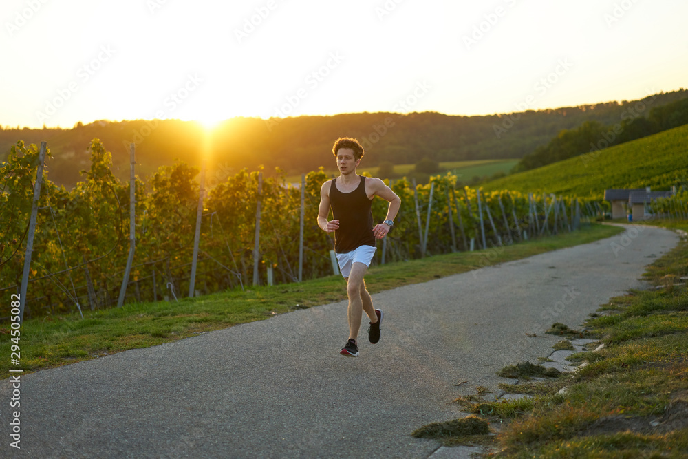 jogger in green vineyard at sunset 
