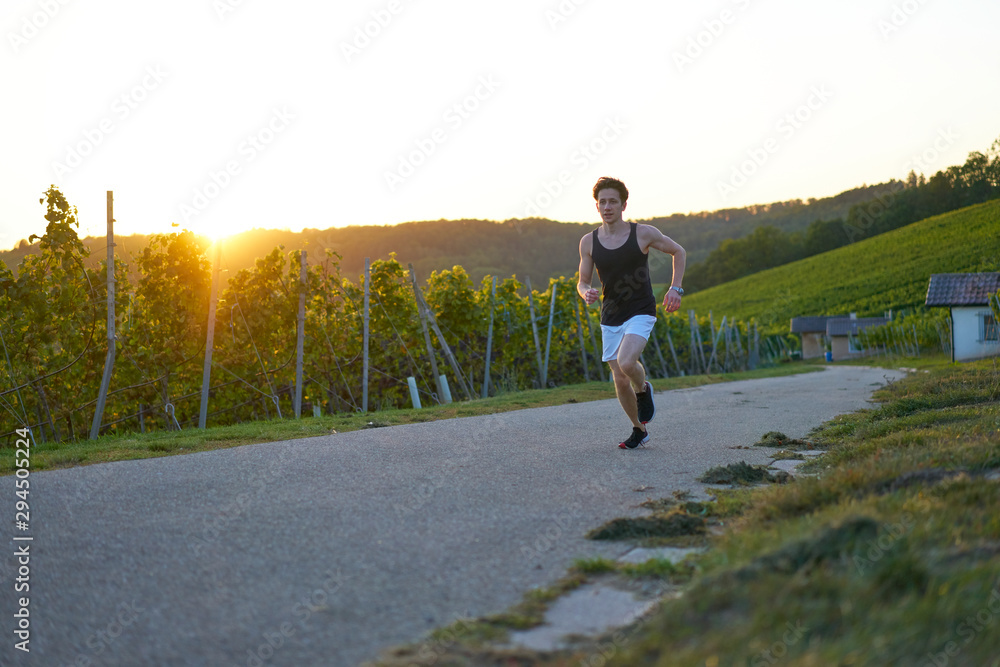 Obraz premium jogger in green vineyard at sunset 