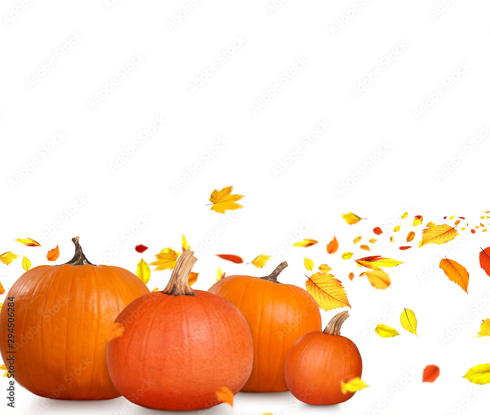 Halloween Motiv Halloween Motiv