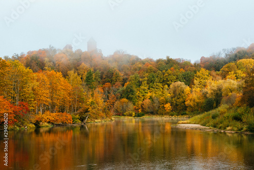 Thick colourful forest and river Gauja in autumn season in Gauja National Park, Sigulda, Latvia.