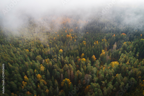 Aerial view of forest during autumn season with foggy sky.
