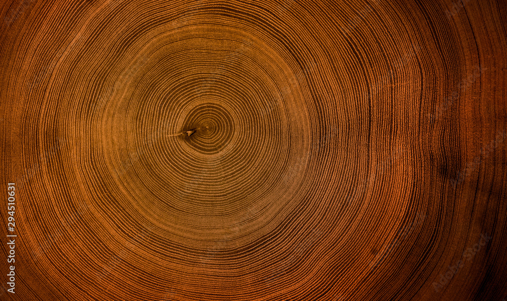 Old wooden mahogany tree cut surface. Detailed warm dark brown and orange tones of a felled tree trunk or stump. Rough organic texture of tree rings with close up of end grain. - obrazy, fototapety, plakaty 